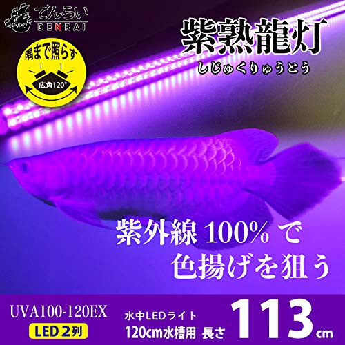 Amazon.co.jp: でんらい LED 水中照明 アロワナライト 水槽ライト テン Amazon.co.jp: でんらい LED 水中照明 アロワナライト 水槽ライト テン